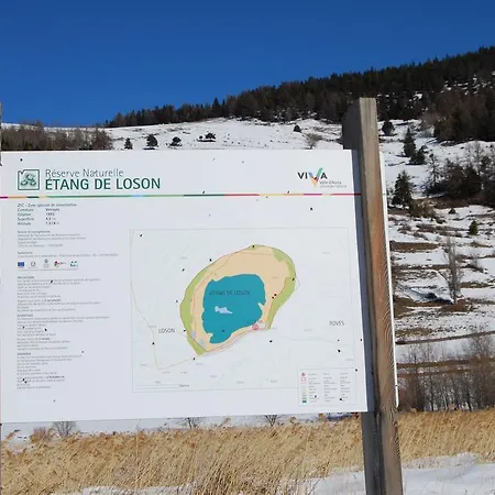 Le Nid Des Rouge-gorges
